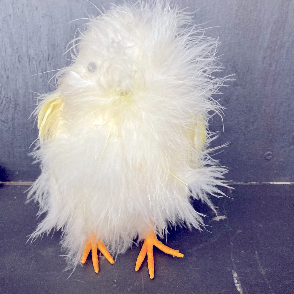 Easter fluffy chick